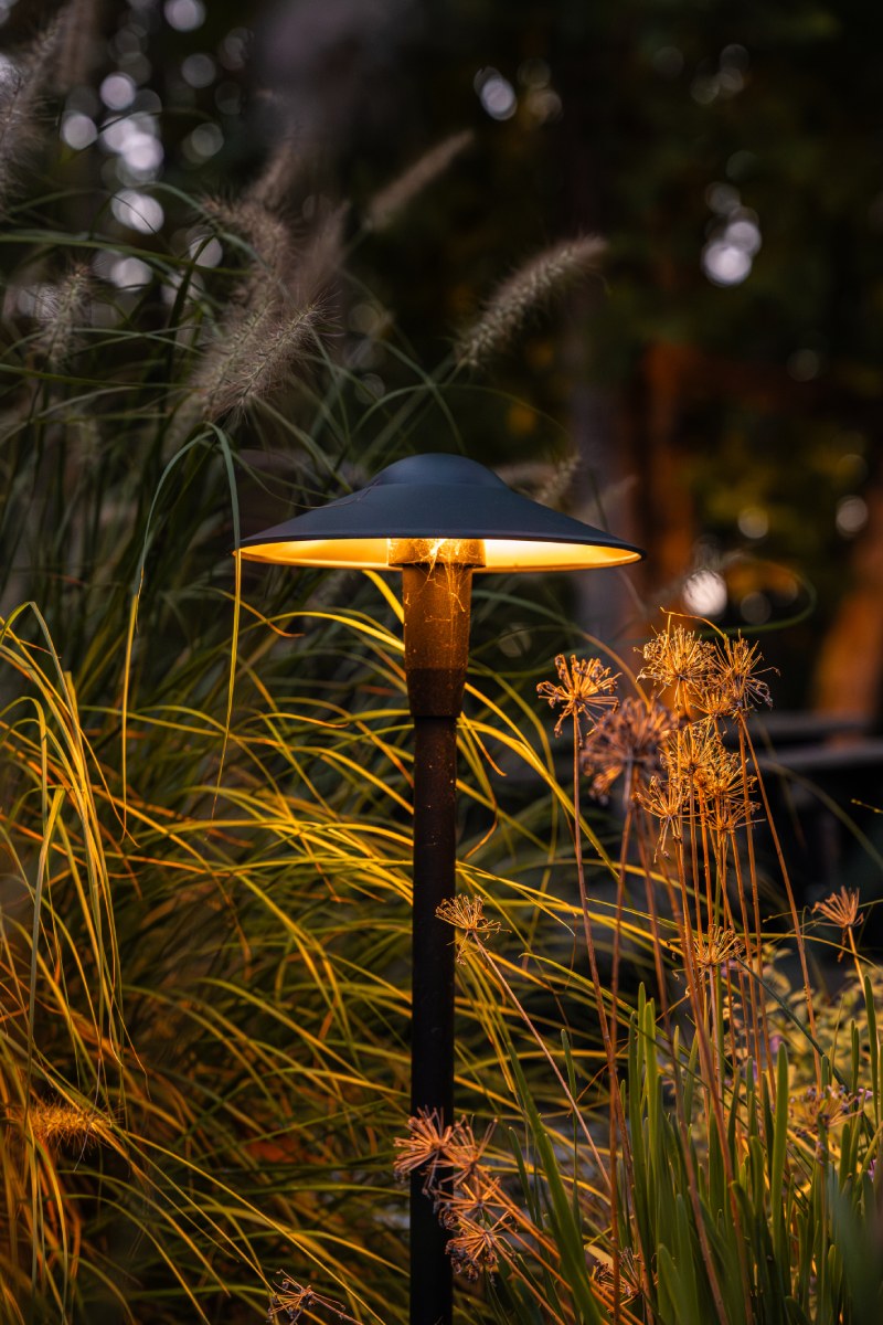 Aronia Landscape Design & Construction landscape project 2